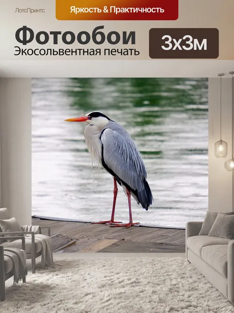 Фотообои Серая цапля