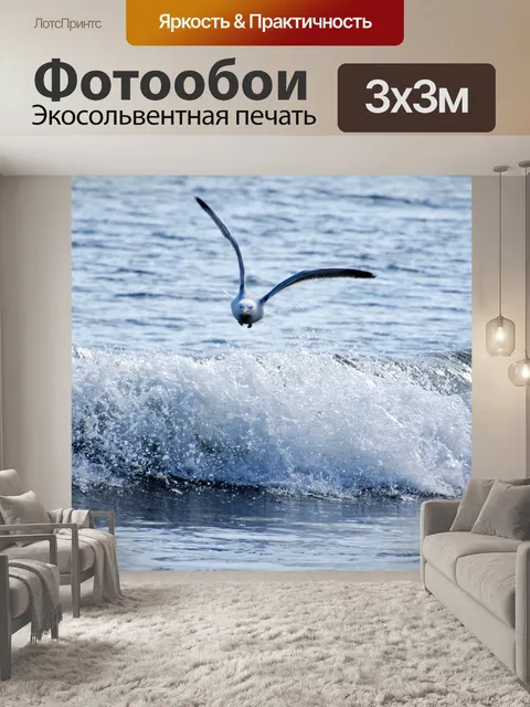 Фотообои чайка и море