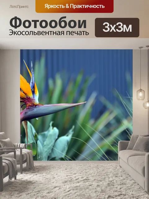 Фотообои Райская птица цветок