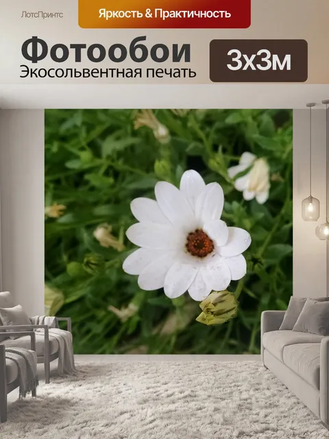 Фотообои Белый цветок