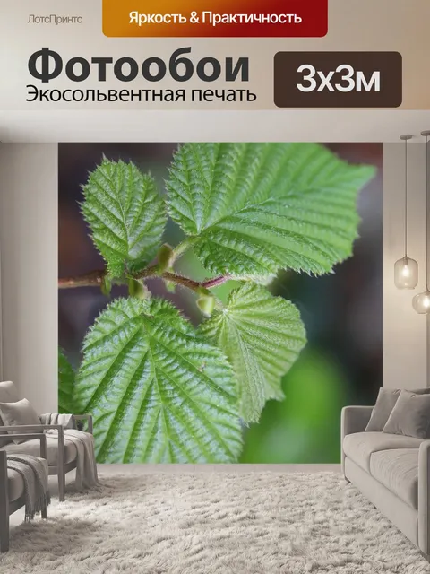Фотообои Листья