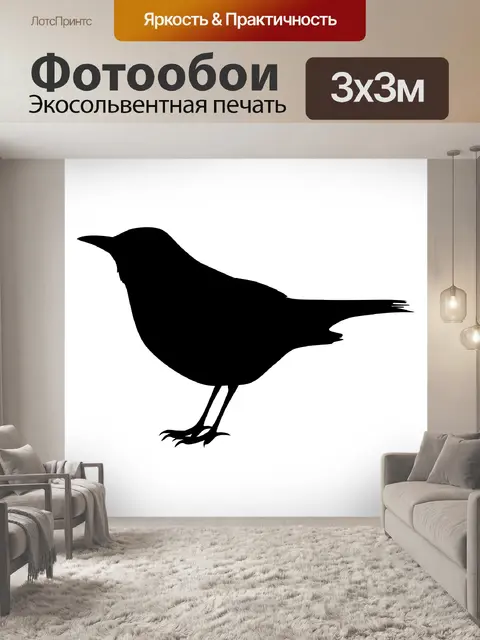 Фотообои дрозд черный
