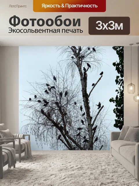Фотообои Скворцы