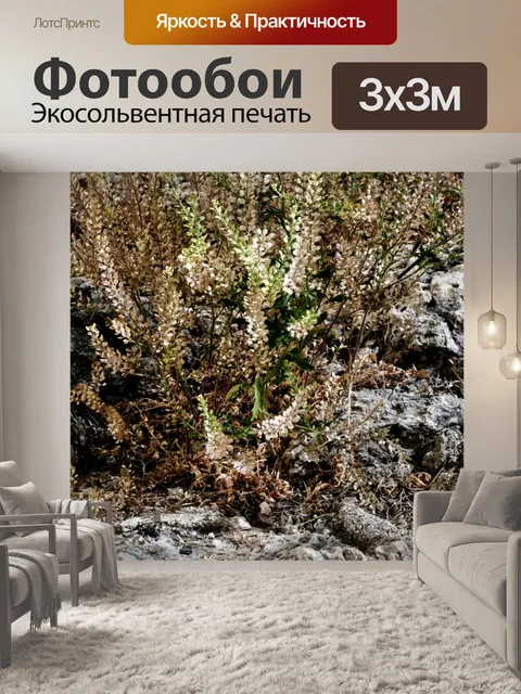 Фотообои Кисть для пустыни