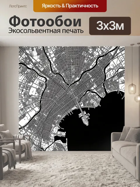 Фотообои Черно-белая карта мегаполиса