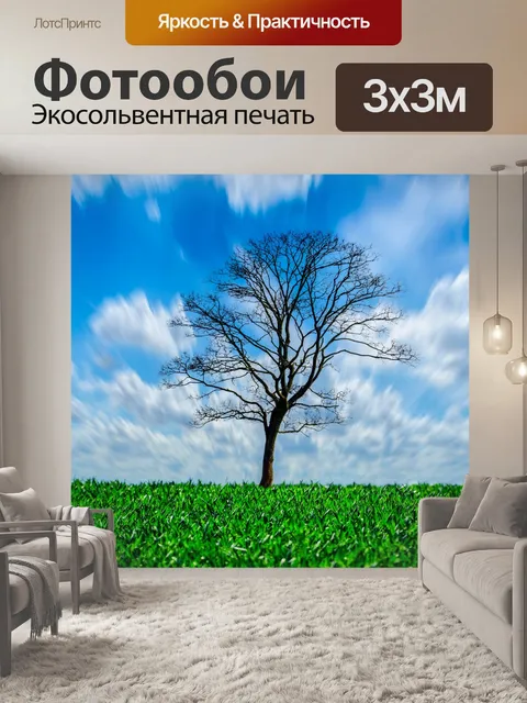 Фотообои Дерево и небо
