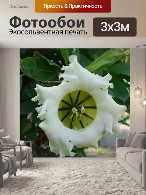 Фотообои Золотой кубок цветок