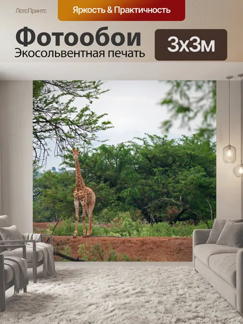 Фотообои молодой жираф в открытом лесу