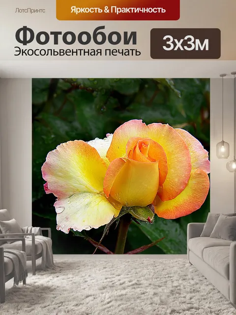 Фотообои Желтая роза