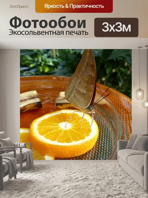 Фотообои Бабочка