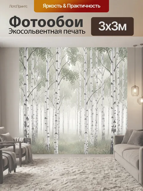Фотообои Берёзовая роща в тумане