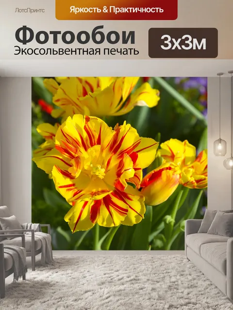 Фотообои Желтые цветы с красной полосой