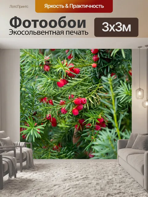 Фотообои Осенний вид