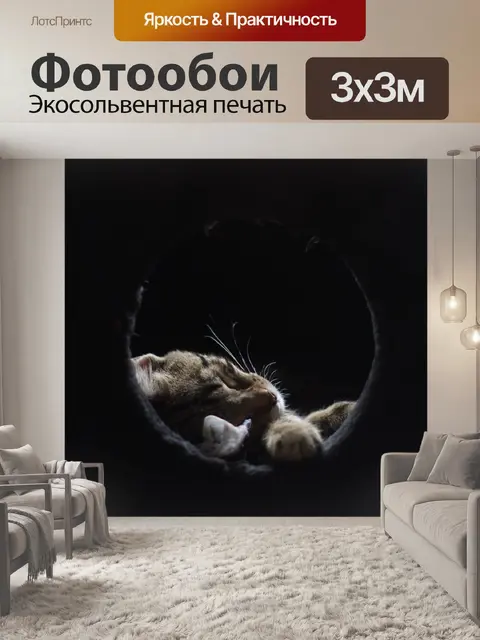 Фотообои Кот