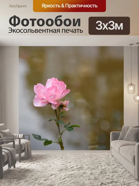 Фотообои Розовый цветок