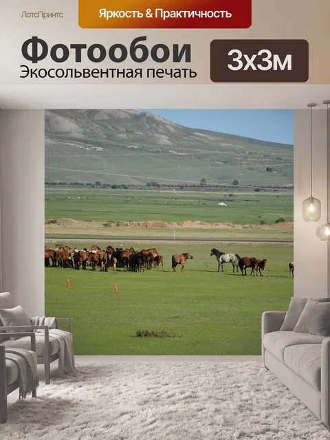 Фотообои Лошади