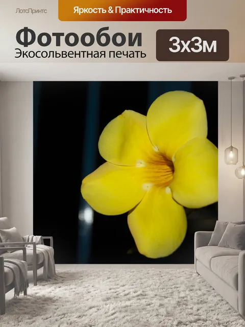 Фотообои Золотой кубок цветок