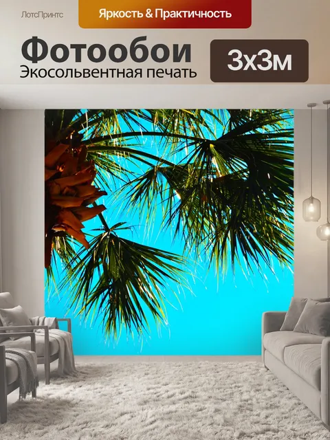 Фотообои Пальма