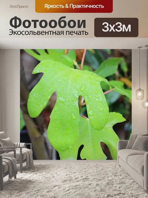 Фотообои Лист