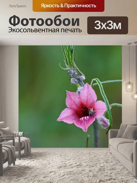 Фотообои розовый цветок кунжута с крылатыми семен