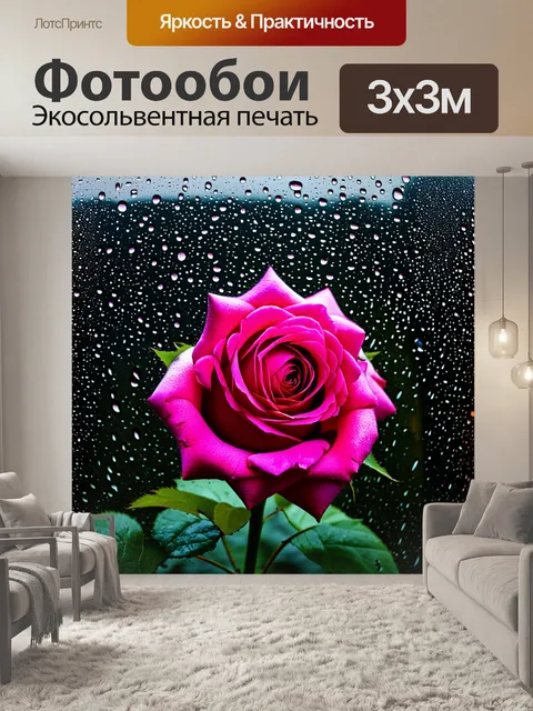 Фотообои розовая роза, запечатленная под каплями дождя на фоне темного стекла