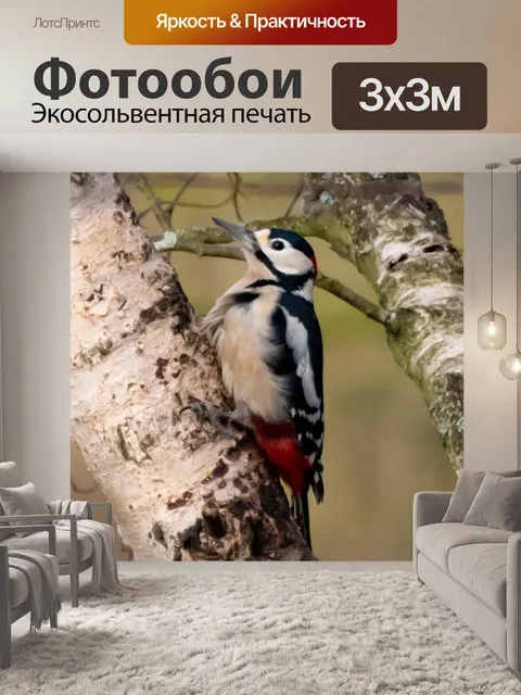 Фотообои Большой пятнистый дятел