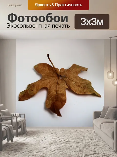 Фотообои сухие коричневые листья