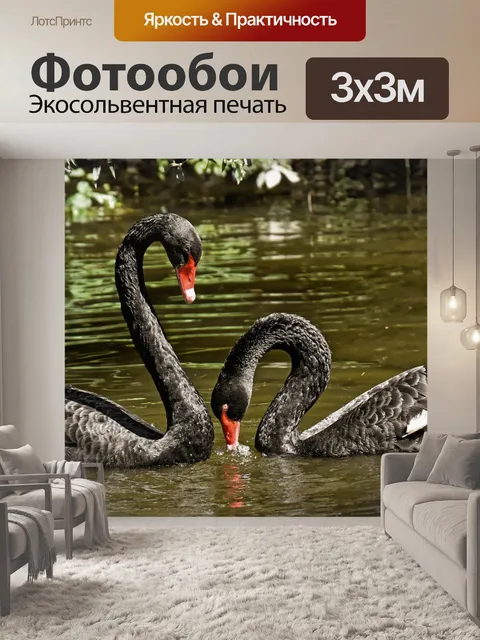 Фотообои Лебедь