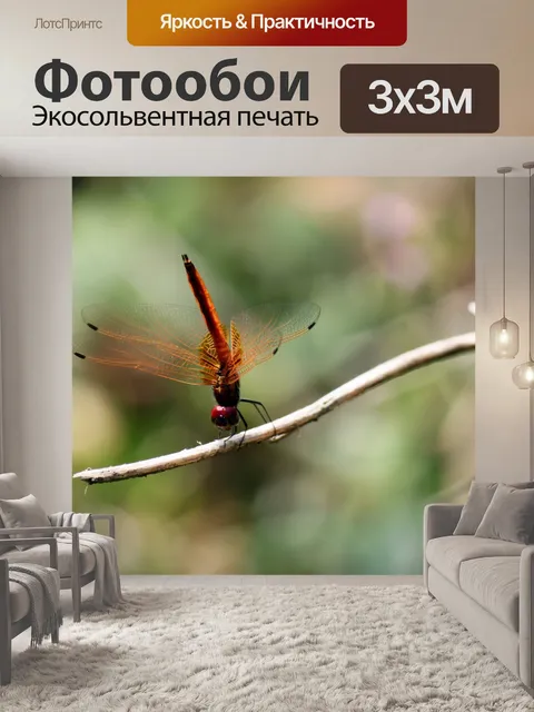 Фотообои красная стрекоза с ног на голову танца
