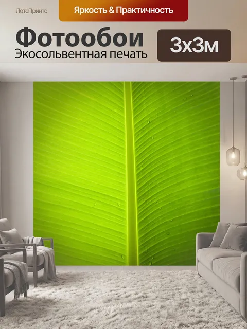 Фотообои Лист