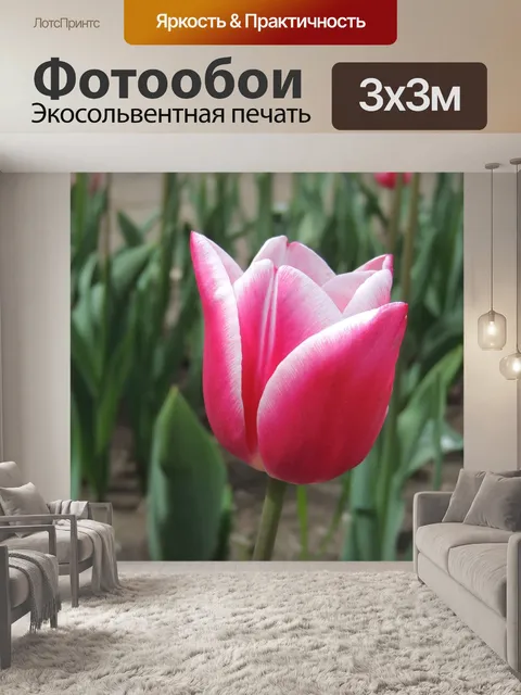 Фотообои Цветок