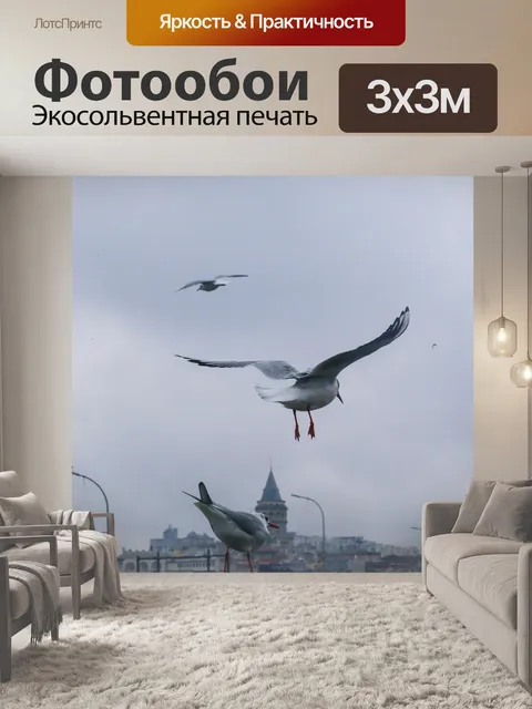 Фотообои Seagull