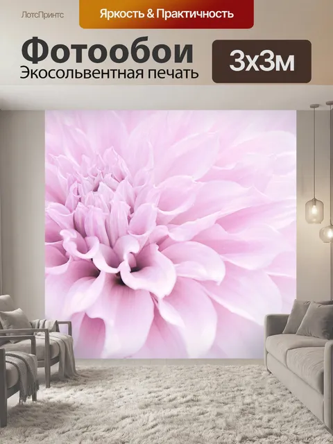 Фотообои Георгин розовый цветок