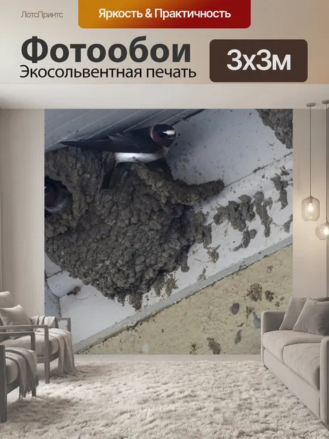 Фотообои Ласточкино гнездо