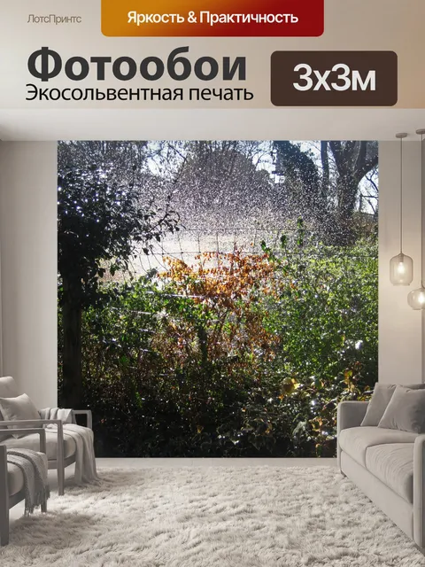 Фотообои распыление воды в загородном саду