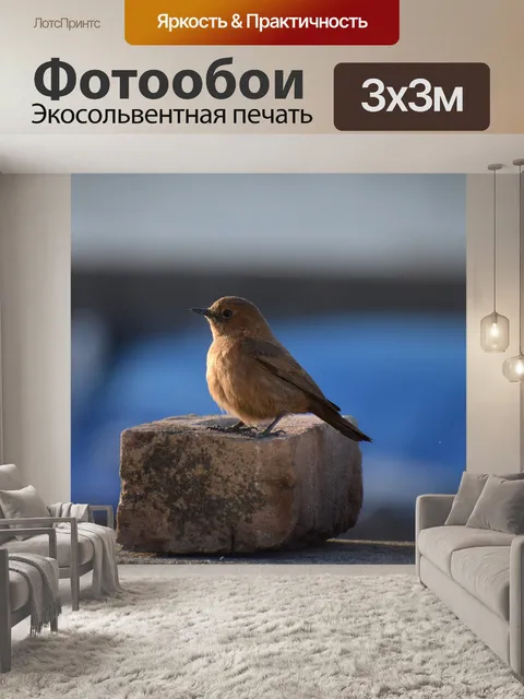 Фотообои Птица