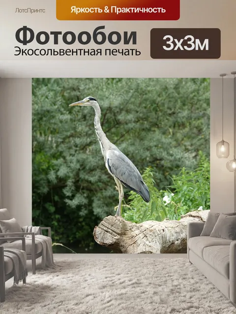 Фотообои Птица