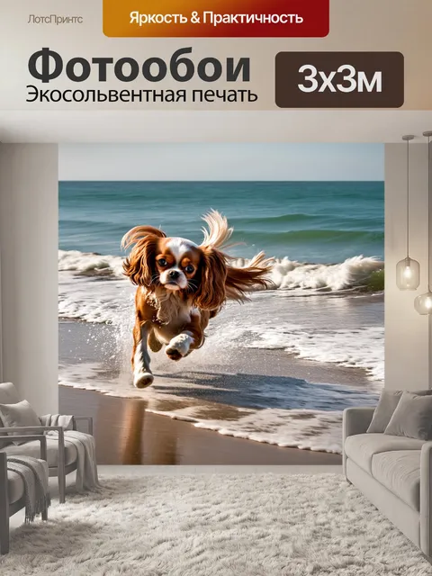 Фотообои кавалер кинг чарльз спаниель