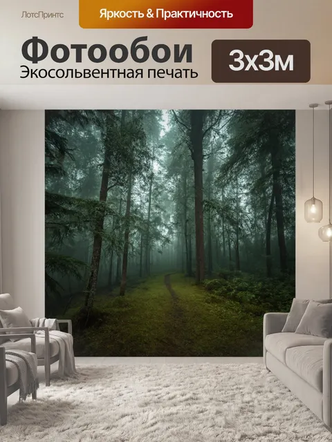Фотообои таинственный лес с туманом, пробивающимся сквозь деревья