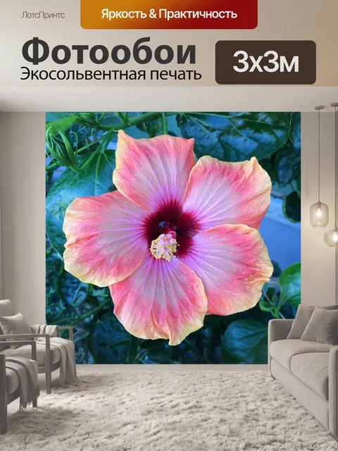 Фотообои Розовый