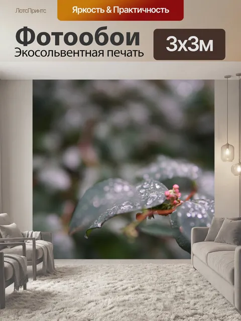 Фотообои Капли