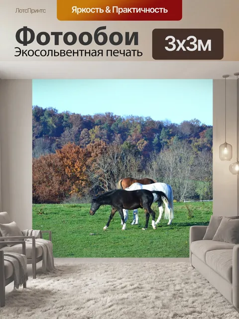 Фотообои Падение