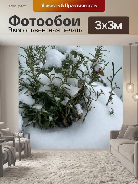 Фотообои Зима