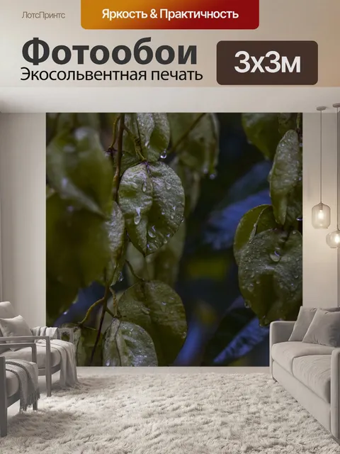Фотообои Bladdernut лист дерева