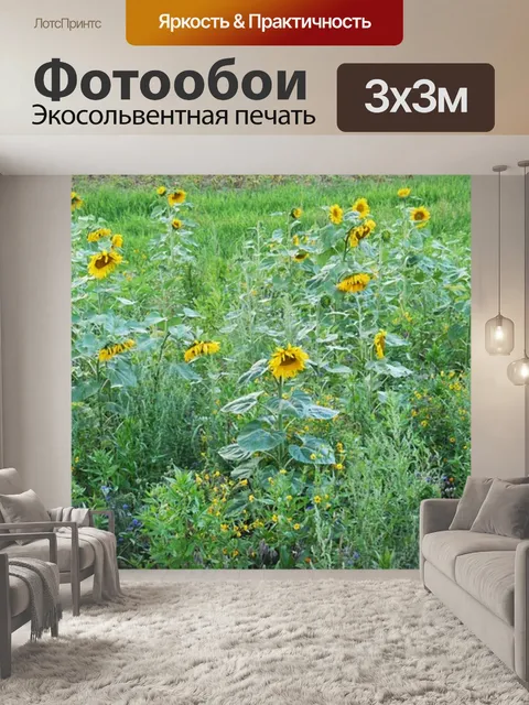 Фотообои Подсолнухи