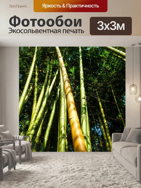 Фотообои Бамбуковый лес