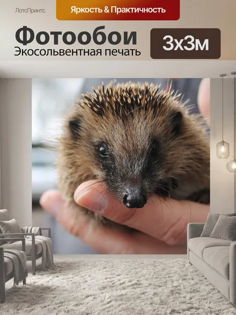Фотообои Ежик
