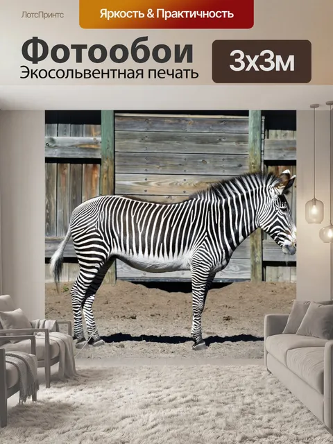 Фотообои Зебра в резерве животных