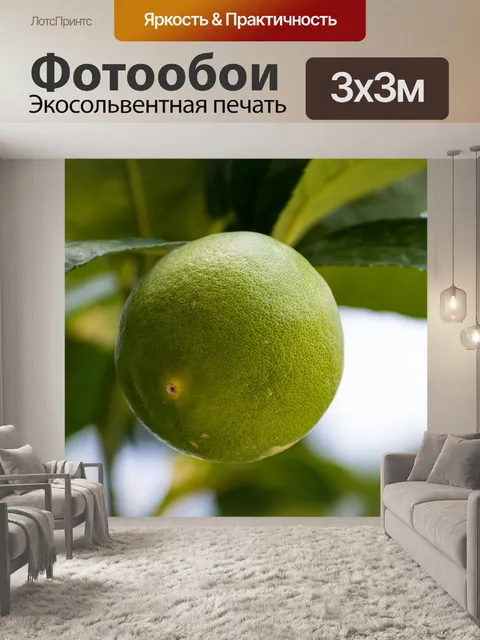 Фотообои Цитрусовые