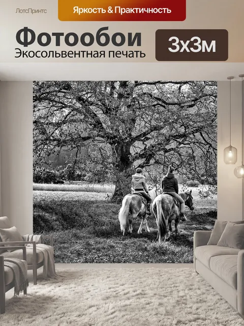 Фотообои Два